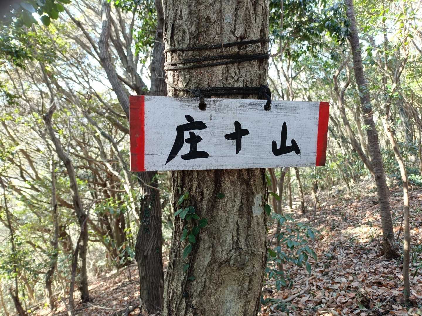 庄十山　②