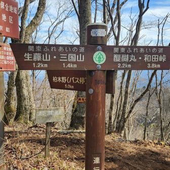 連行山(1,016ｍ）
ここでランチタイム🍙とお花摘みタイム