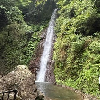 養老の滝、水量多し