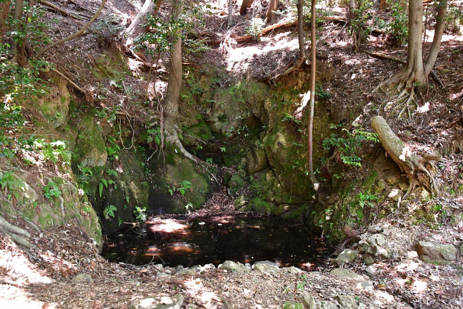 井戸。たっぷりと水が溜まっておりました。流水を溜めるタイプか。