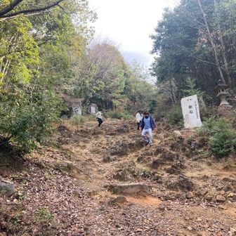 登山道に 献石ゴロゴロ
「石が冷たいから代わりに持って」とiさん😳
はぁっ？
聞こえないふりして歩を進める