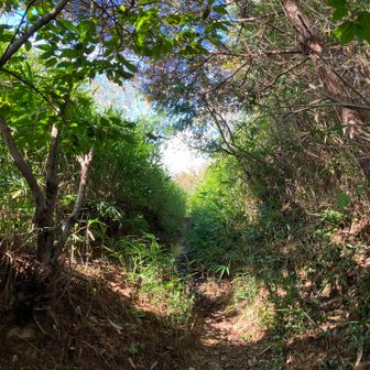 東お多福山高原への出口。