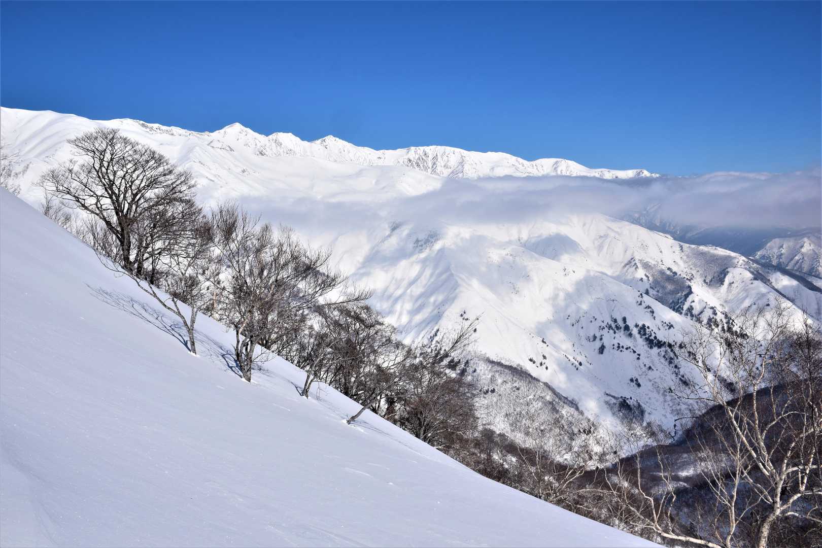 二ノ背髪-小遠見山-五竜登山口-中遠見山-大遠見山-地蔵の 縦走コースの写真