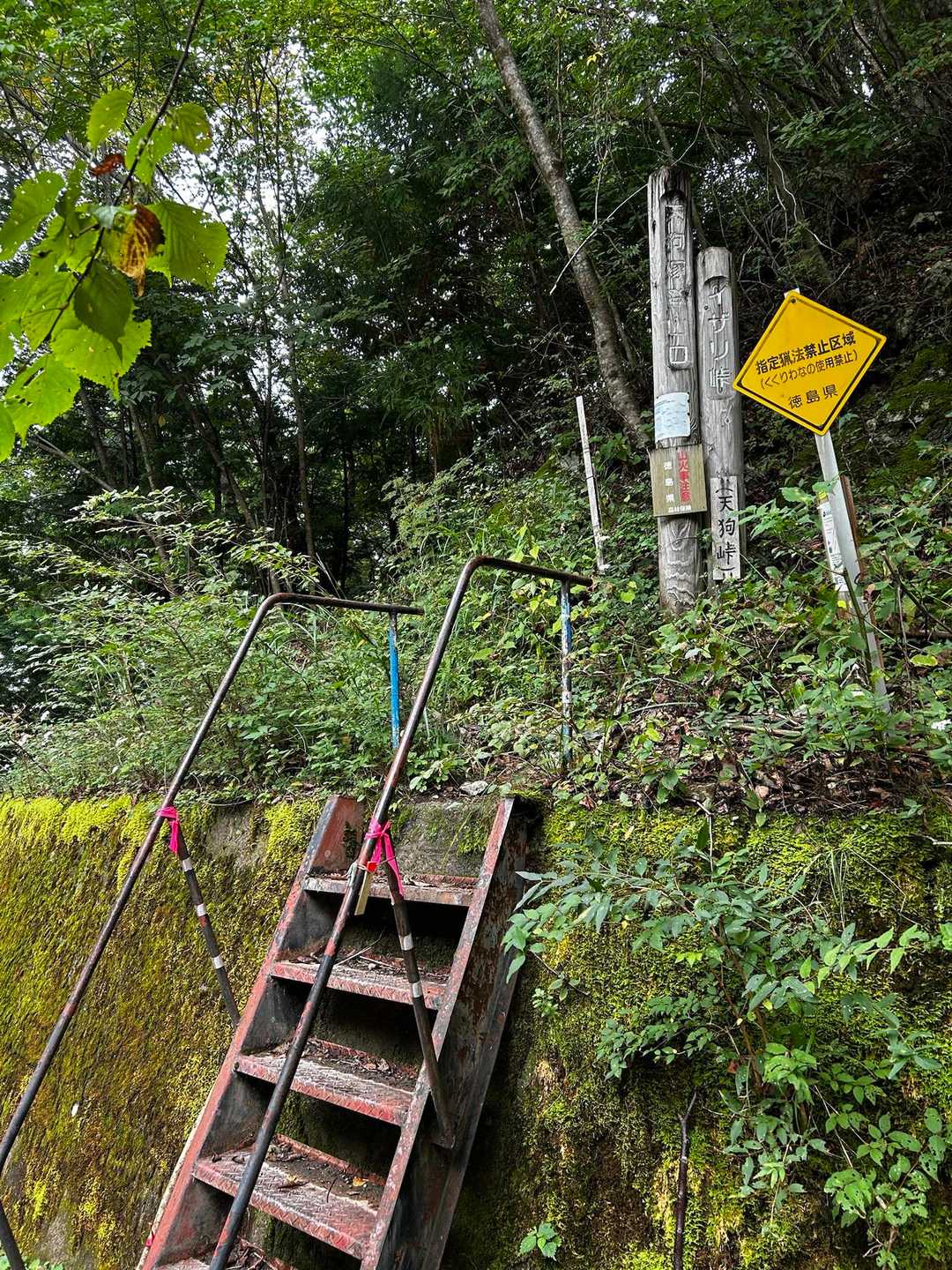 天狗塚登山口-第1ピーク-天狗塚 往復コースの写真