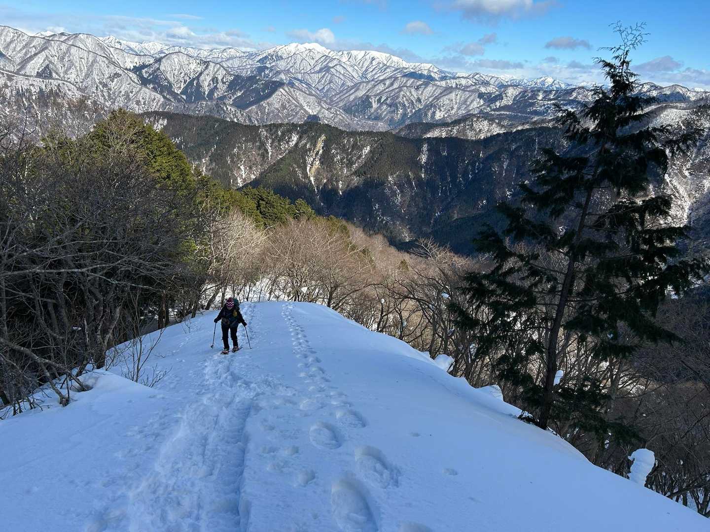 藤波谷登山口-権現山 往復コースの写真