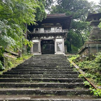 ありがとうございました🙏
雨の中でも散策する人が多かったなぁ…きっと皆んな同じ心境🥲またリベンジしましょう✌️