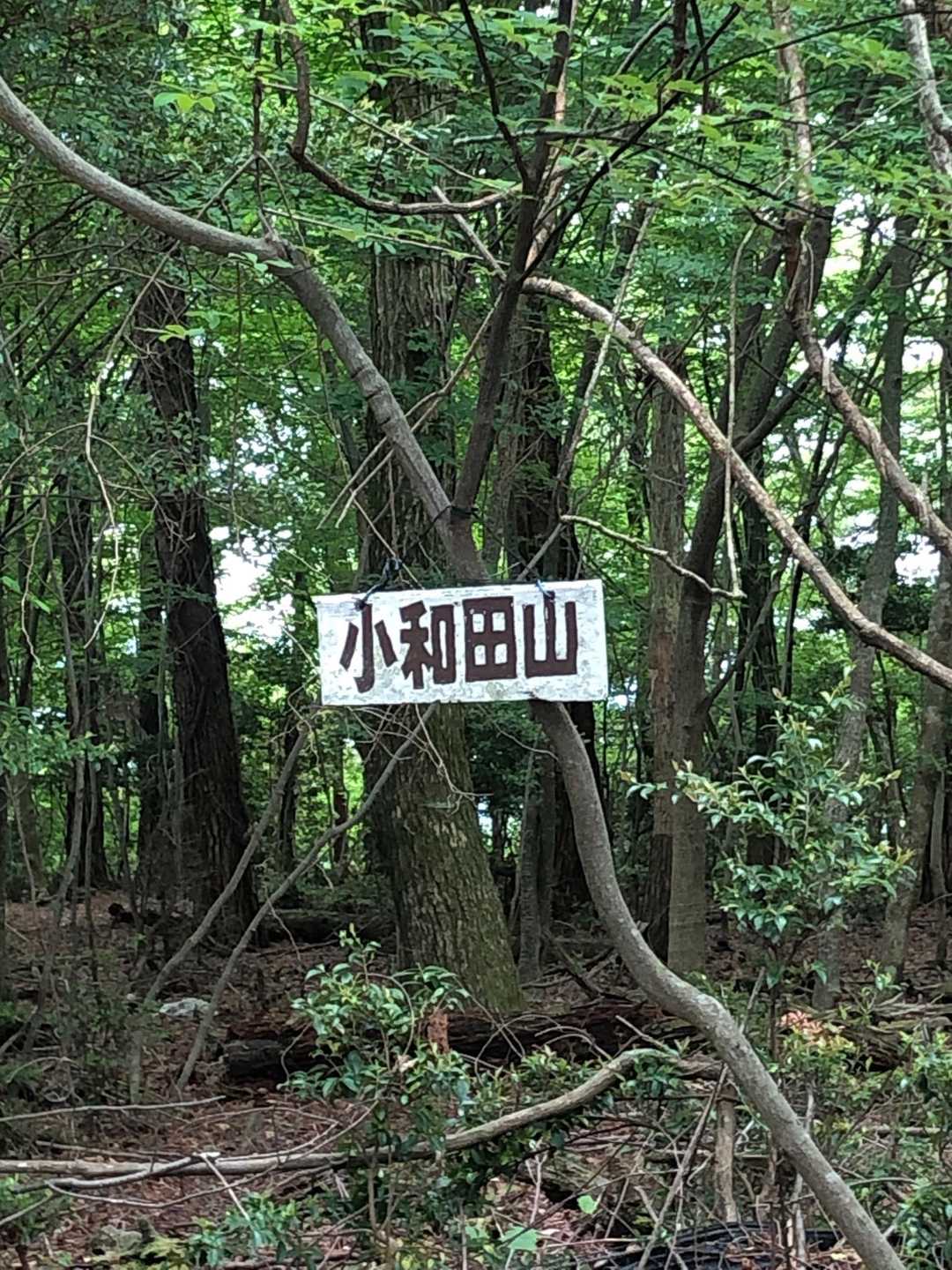 頂上 611Mにて
お昼タイム