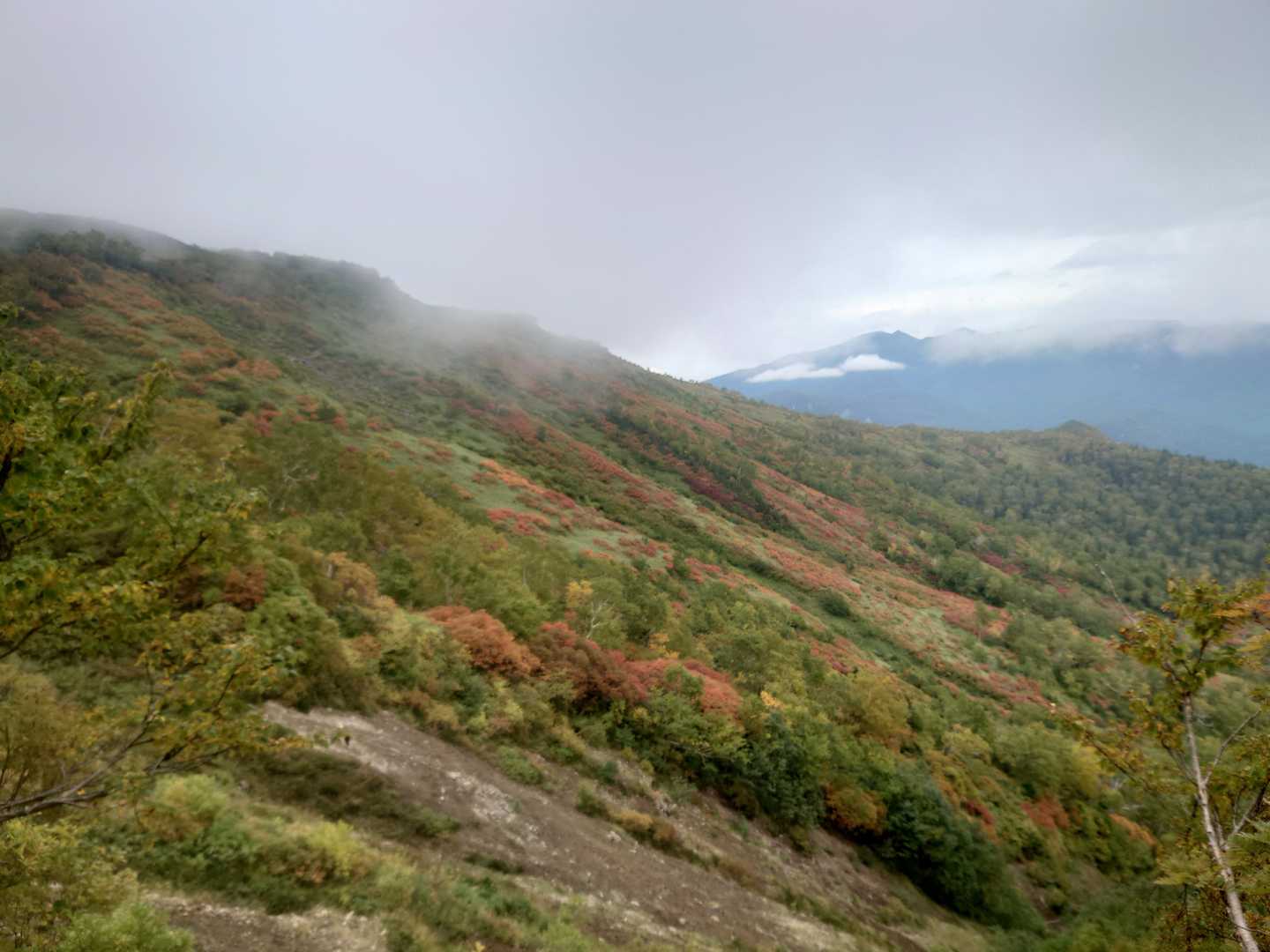 銀泉台発着｜赤岳登山口・第一花園 往復コースの写真