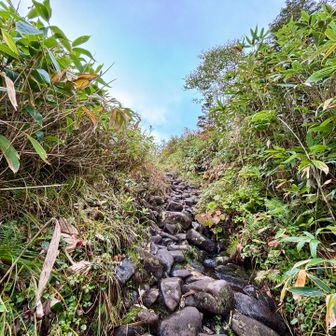 こんな感じの濡れた岩場🪨
とにかく滑りますー🦶
※下山時は 10スベリは したかな😅