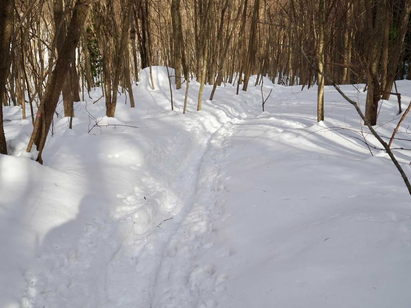 吉和冠山 汐谷コースの写真