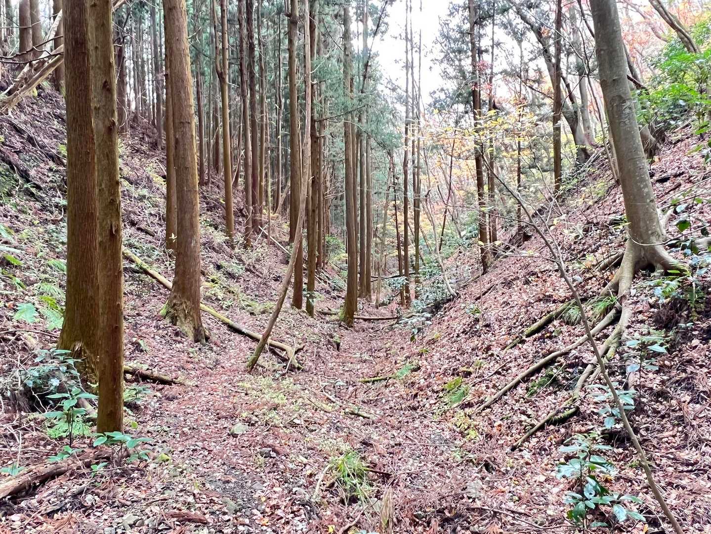 篭岩 周回コースの写真
