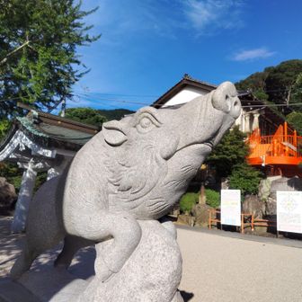 今日は妙見神社から🐗

企救山地系は
昨年７月の海の日に
企救山地縦走した以来です😄
久しぶり～👋