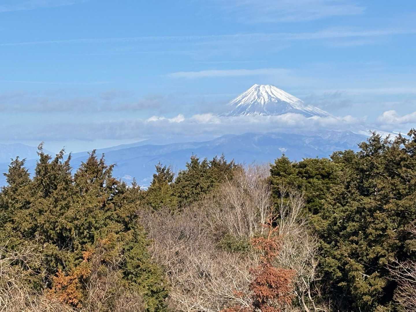 城山登山口-城山-葛城山登山口-背面登山口-発端丈山 周回コースの写真