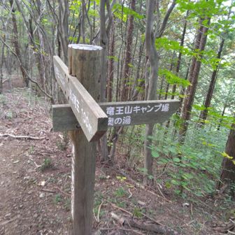 ここからお花を探して🌸ゆっくり進む👉