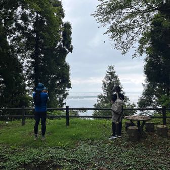 高台にある境内から久慈湾👀