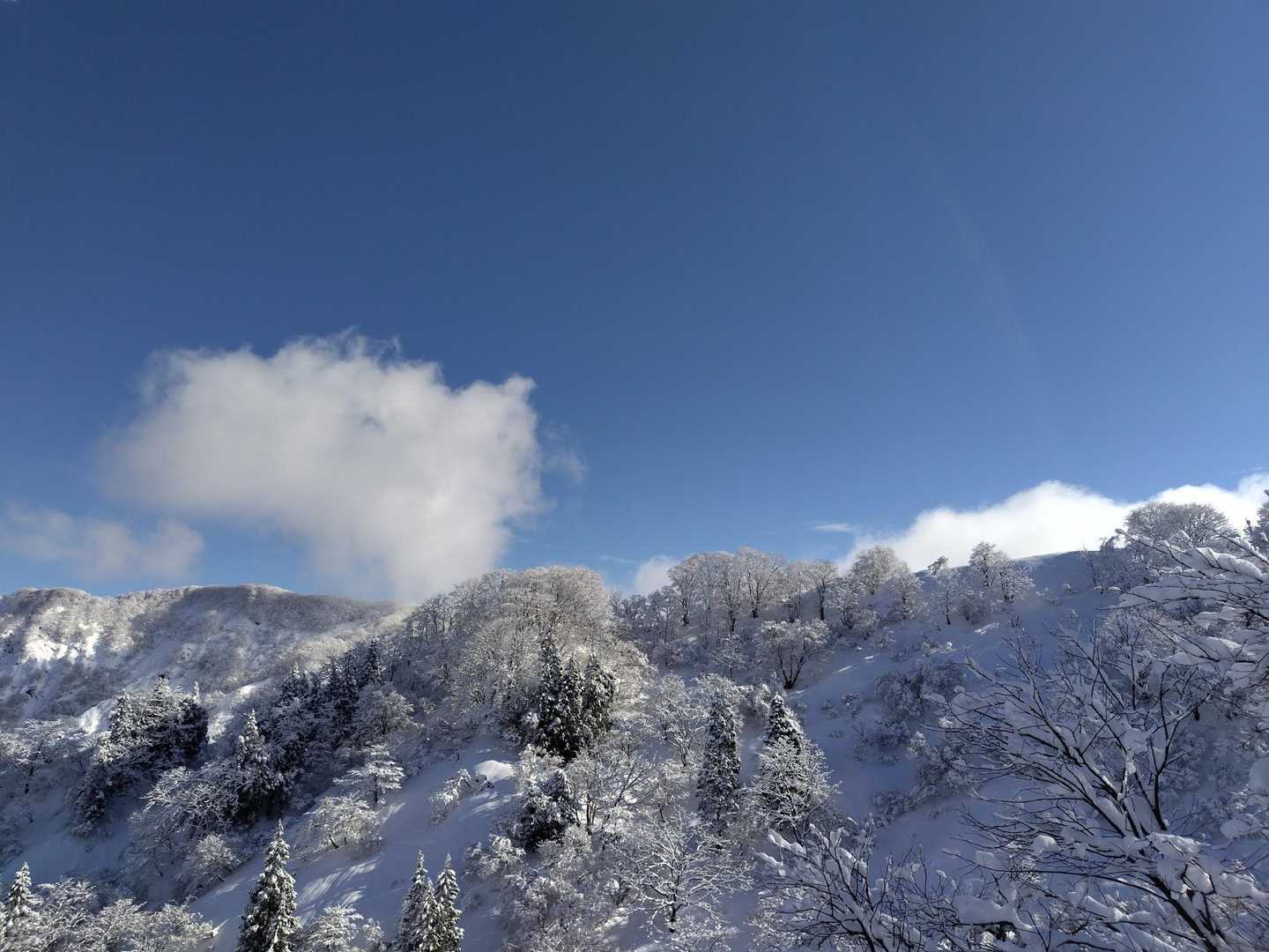 雪山には青空がよく似合う💙🤍