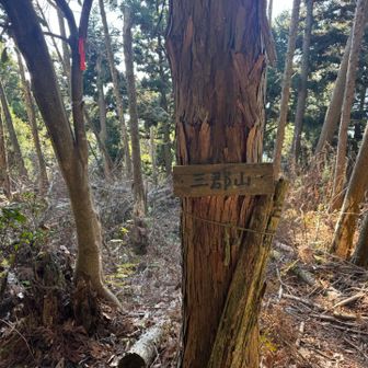 ここまでが本当に遠いのと足場が悪く枯れ葉も凄いので疲れます。
まだ折り返しですらないので休憩しては行けません。