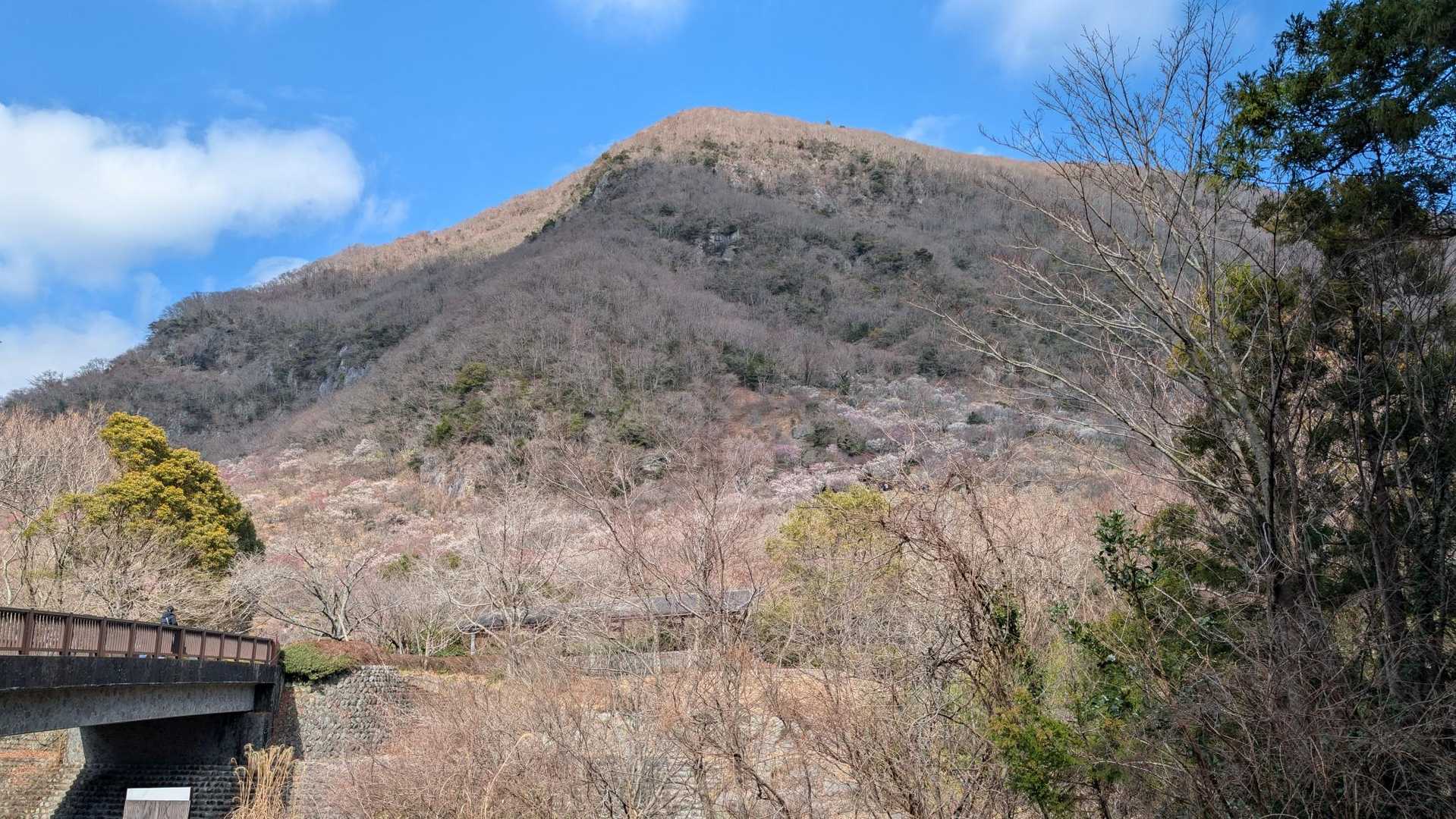 幕山登山口-幕山 往復コースの写真