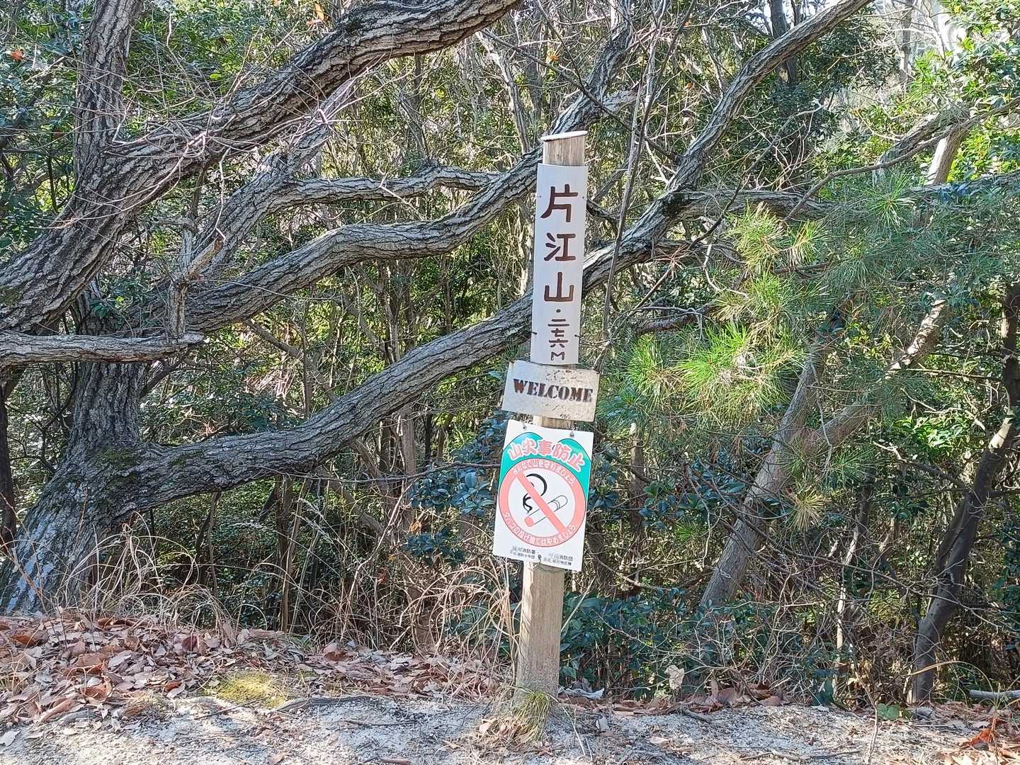 まずは片江山。
