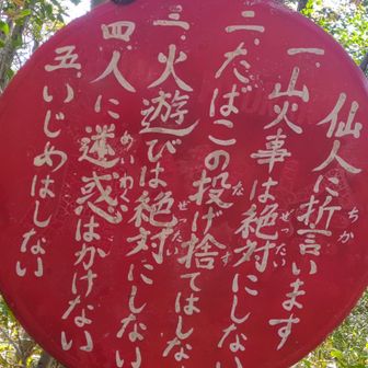 すべて誓います😀