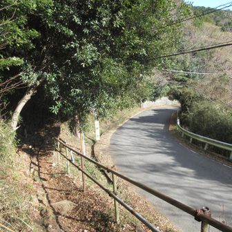 ここから来宮駅までは舗装路