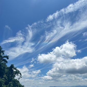 彩雲見れた〜🌈