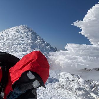 下山始めて山頂バックに…
久しぶりに頭プスッ😅🩸笑