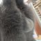 猫ふぐり