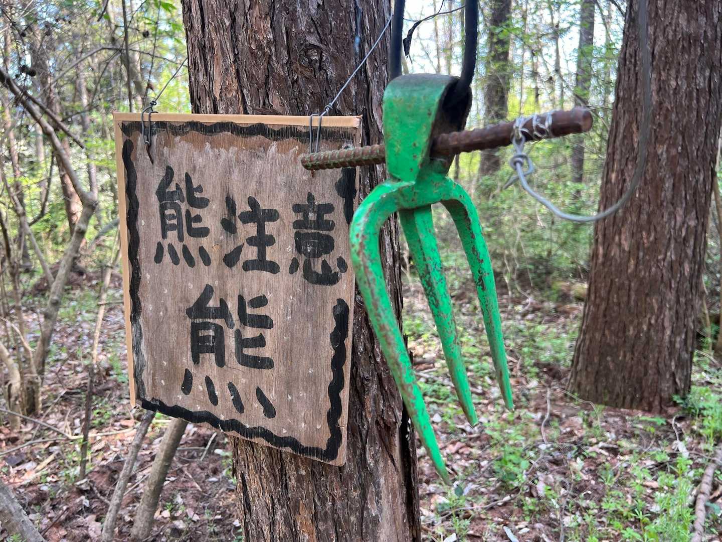 このパターンは、初めて見たかもです♪