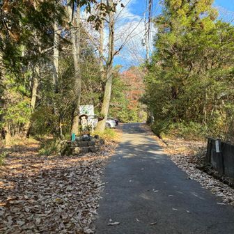 駐車場に戻ってきました