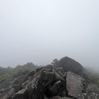 高見石からの眺望