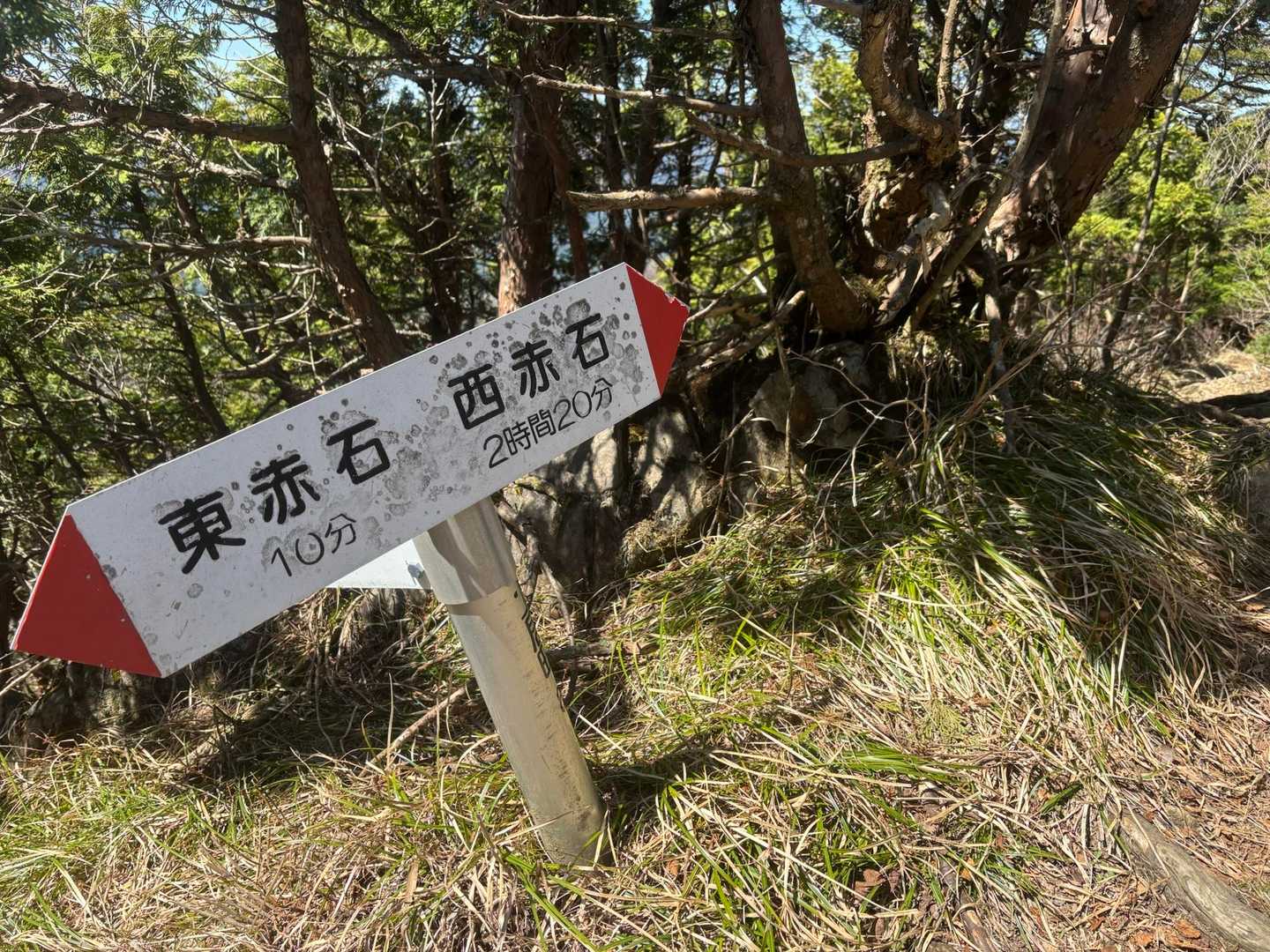 分岐点
西赤石を目指します