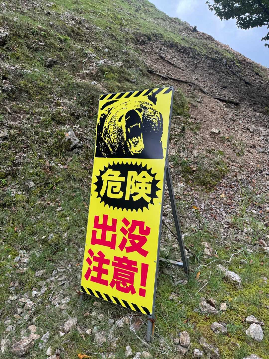 この熊ほんま怖い💦