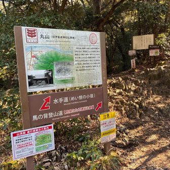 ここ迄来たら山頂に行くにはこちらを通るしかありません