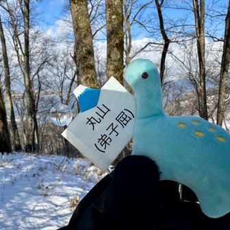 📍🦕
山頂標識は無し
最近は屈斜路湖周辺ばかりなので登場回数が多いクッシー