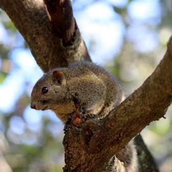 あけおめ🎍ことよろ🐿

今年も
金華山とボクをヨロシク👍