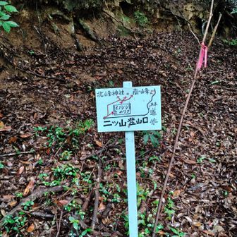 大山千枚田方向からくるとここが登山口。