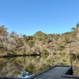 シェール槍が見え〜る👀