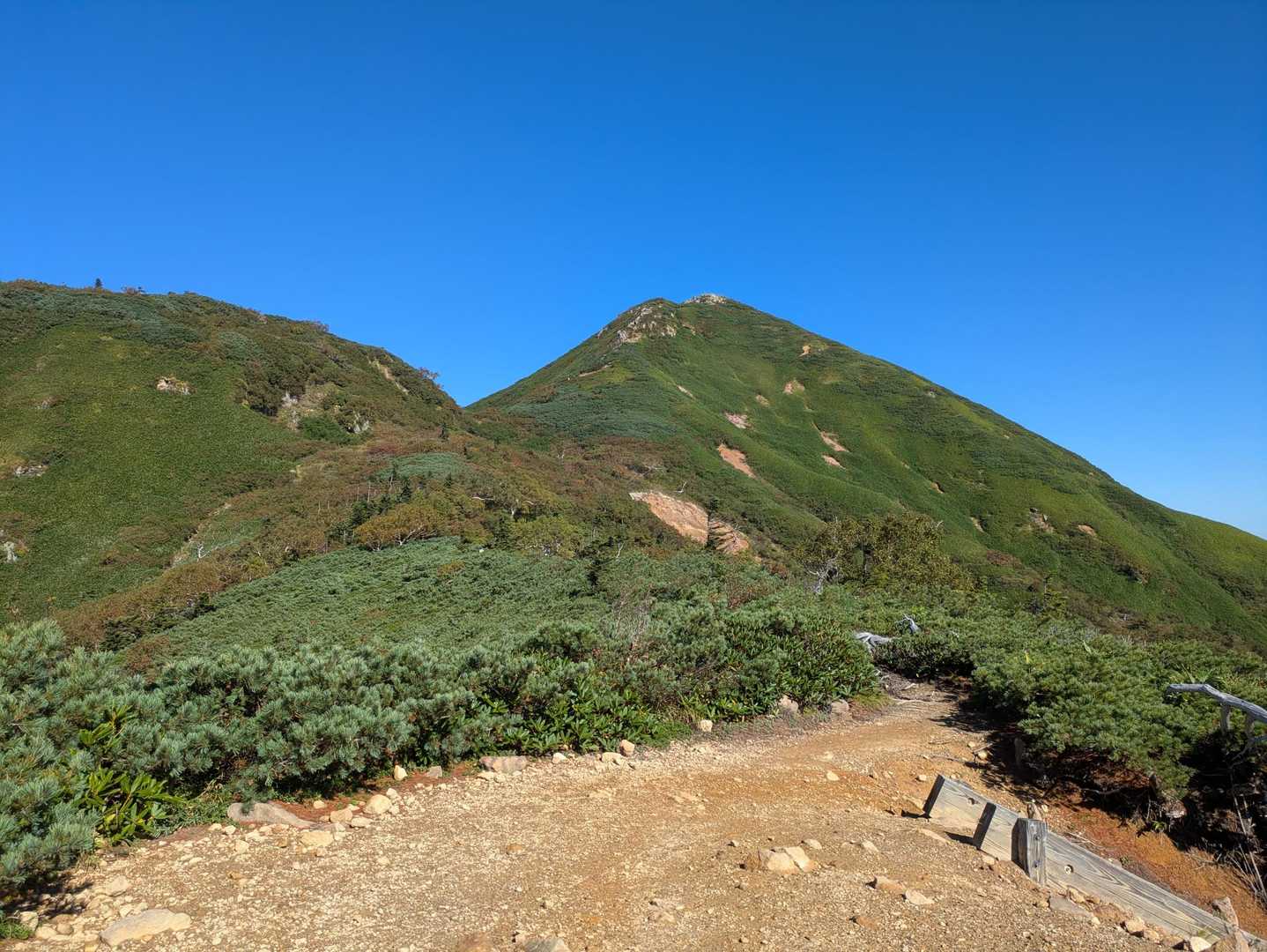 さて。これを登ります