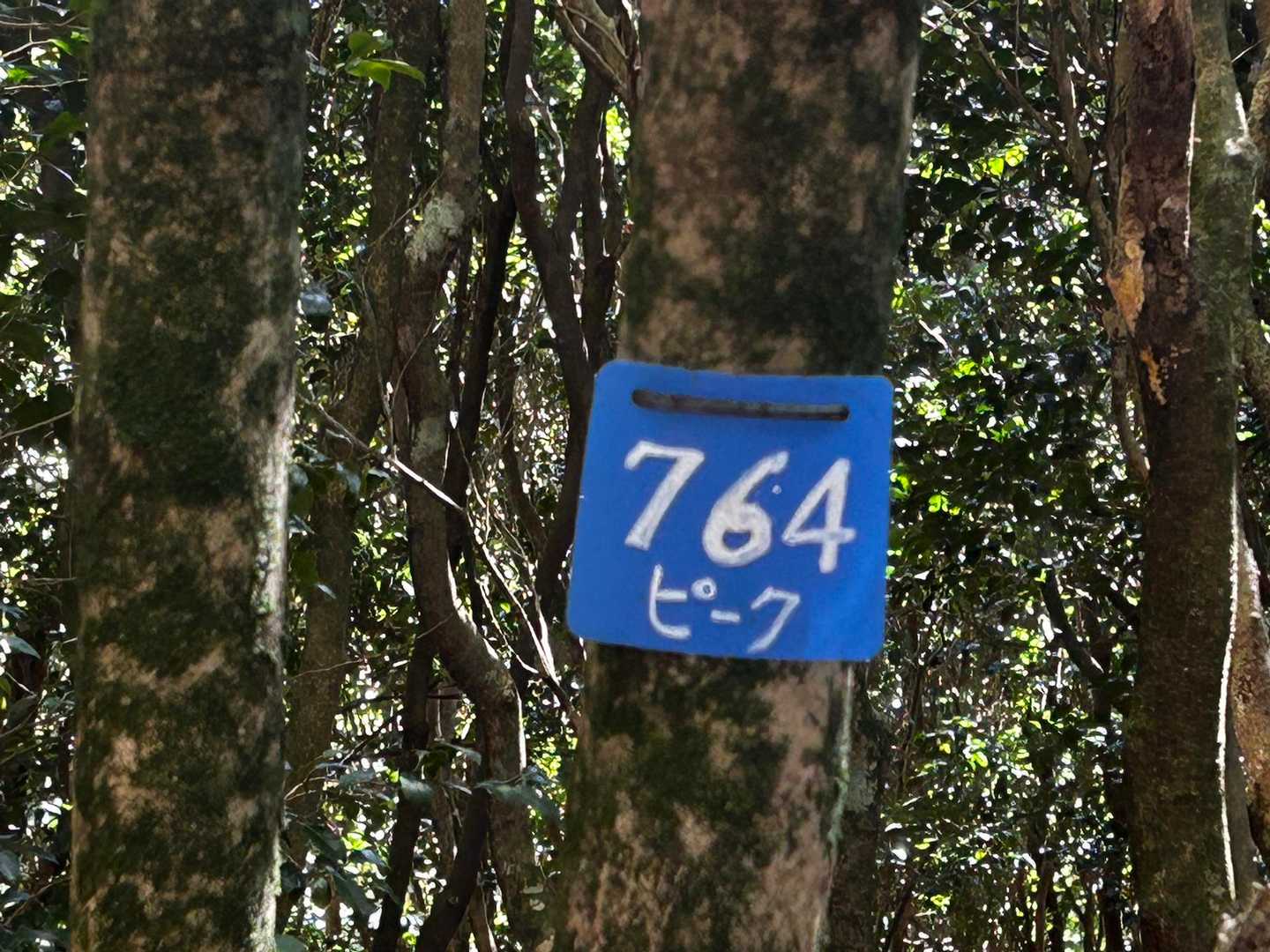 登りでは見過ごしたピーク🫡