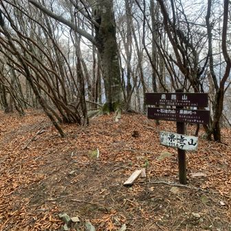 今回の山行では貴重なピーク。