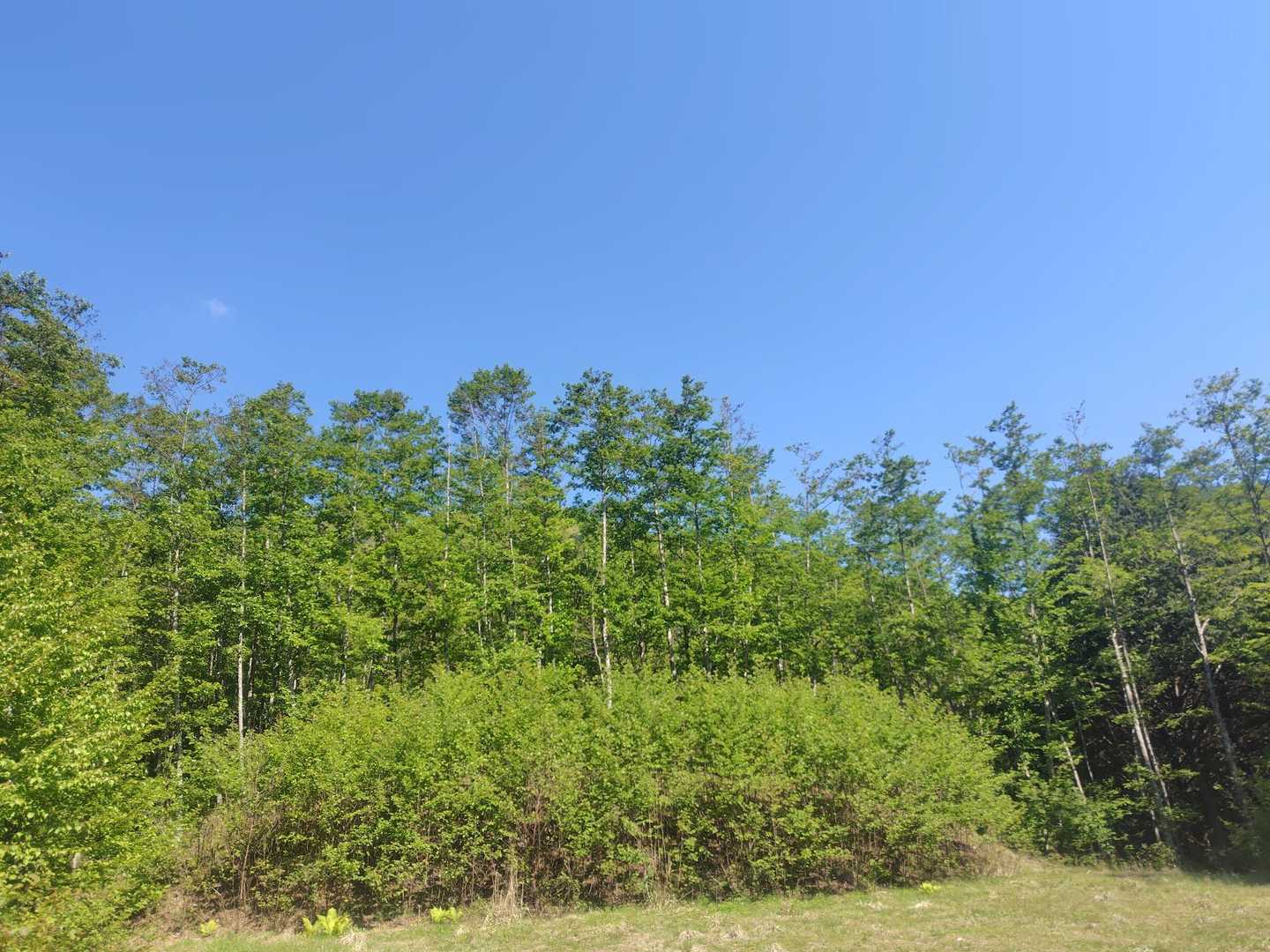 天気良し
よろしくお願いします
