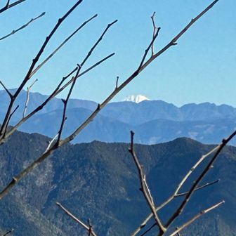🗻富士山が、頭を雲の上に出し、⛰️宇連山を見下ろしてました。