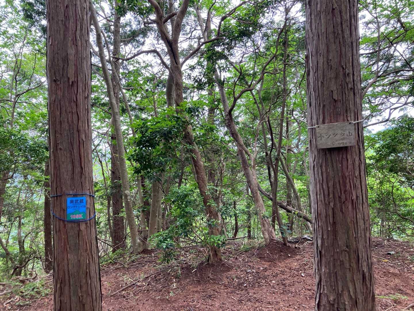 最初のピーク 小ツツジ山