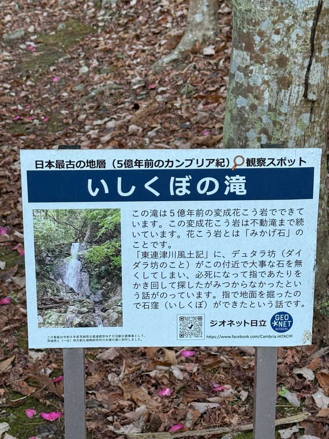 凄い😱