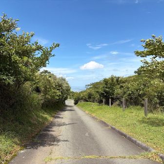 楽しかった。
右側の股関節が痛い😣さすりながら下る。
夏の青空が綺麗だね。