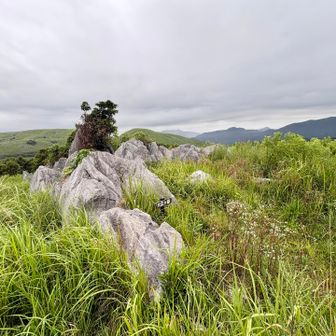 大正ヶ岳⛰️