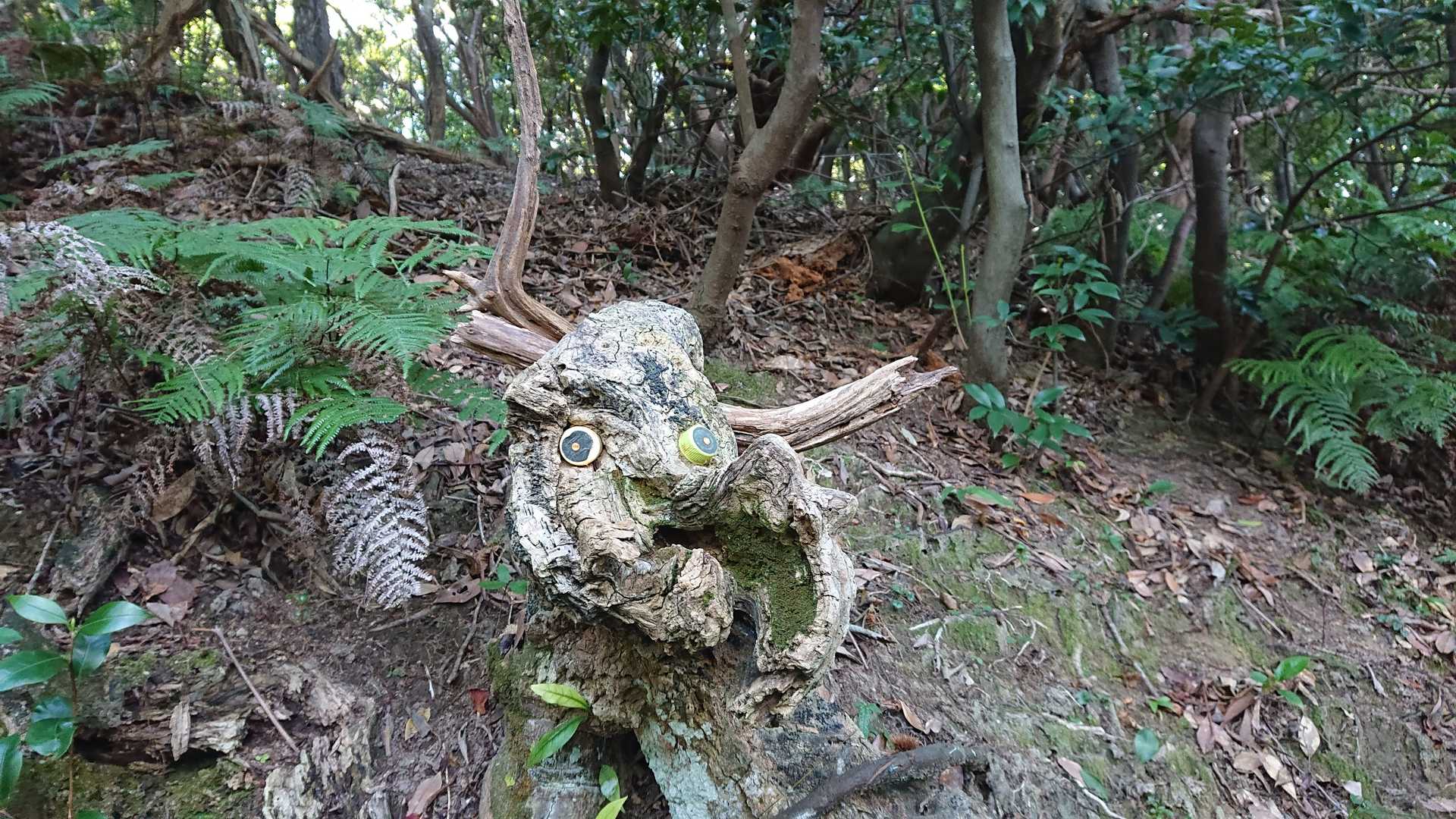 素晴らしい出来でした✨✨