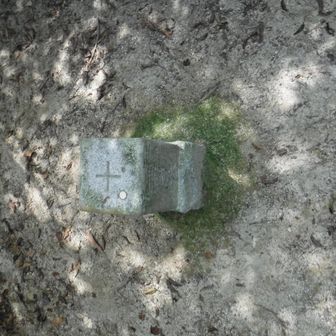 岩巣山山頂
※展望は展望地へ
プレート等は無かった？