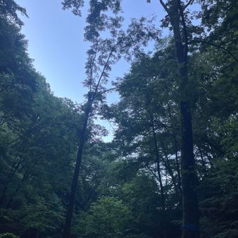 快晴☀️


今日は天気良さそう


俺たちは下山だけです🙄